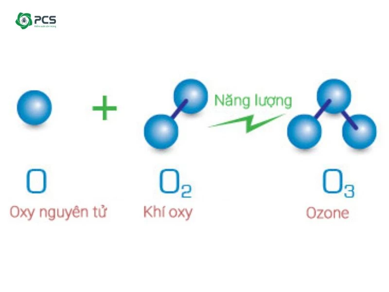 khử trùng bằng ozone